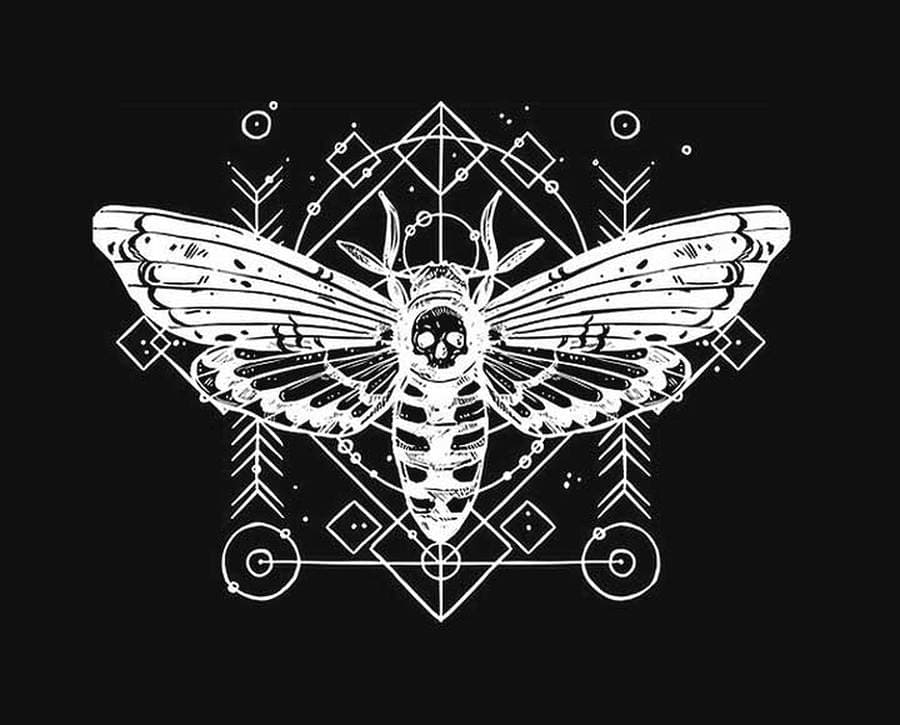 CICADA